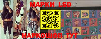 мдпв Бийск