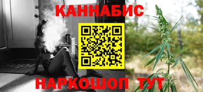 мдпв Бийск