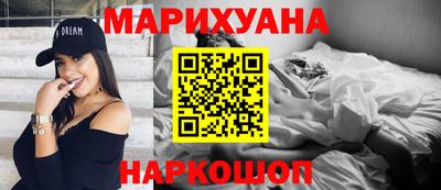 мдпв Бийск