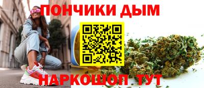 мдпв Бийск