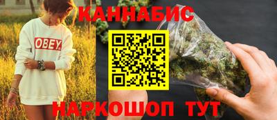 мдпв Бийск
