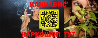 мдпв Бийск