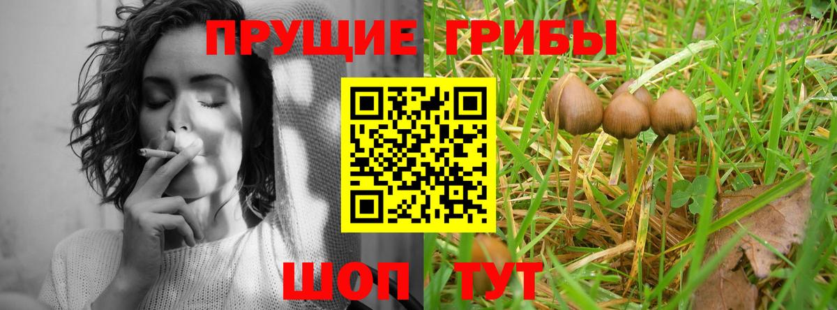 Галлюциногенные грибы ЛСД Зеленодольск