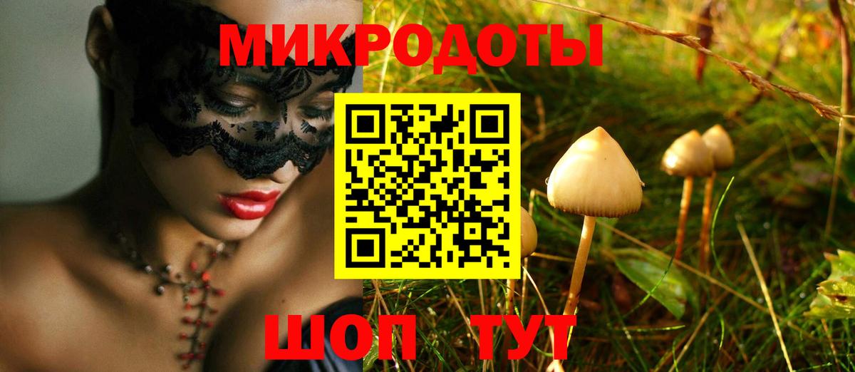 Зеленодольск  сколько стоит  Вход с VPN  Псилоцибиновые грибы мухоморы 